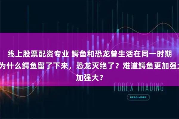 线上股票配资专业 鳄鱼和恐龙曾生活在同一时期，为什么鳄鱼留了下来，恐龙灭绝了？难道鳄鱼更加强大？
